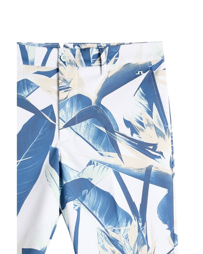 パラダイスブルー柄