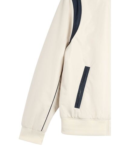 アイボリー