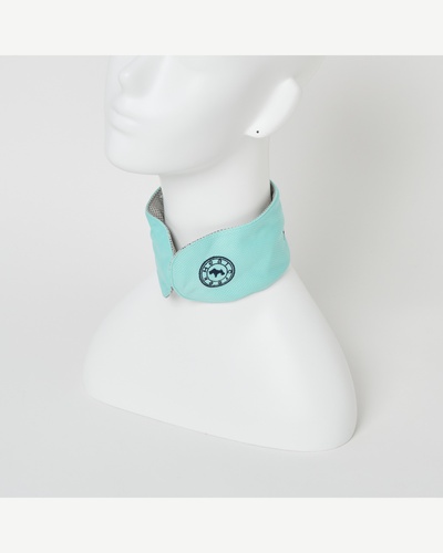 ライトグリーン